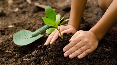 Gardening With Children: Tips, Tricks, and Benefits to Gardening with Kids