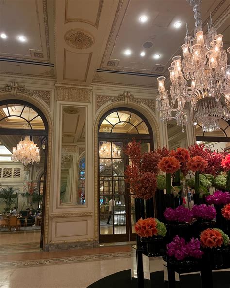 Ava Andrews (@ava.andrews) • Instagram photos and videos