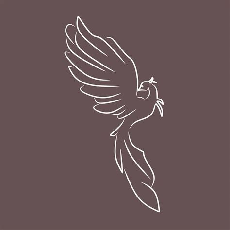 premium vector bird  vector