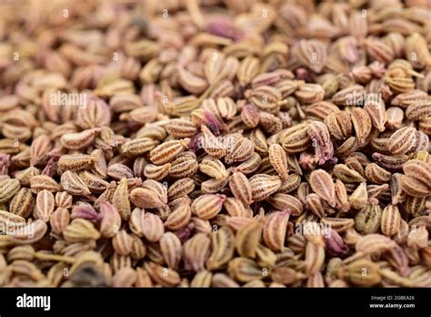 ajwain texture  res stock photography  images alamy