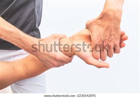 31 Aetos Images, Stock Photos & Vectors | Shutterstock
