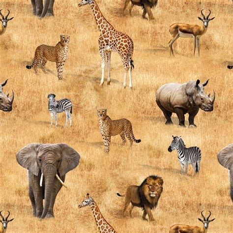 African Safari - Safari Animals