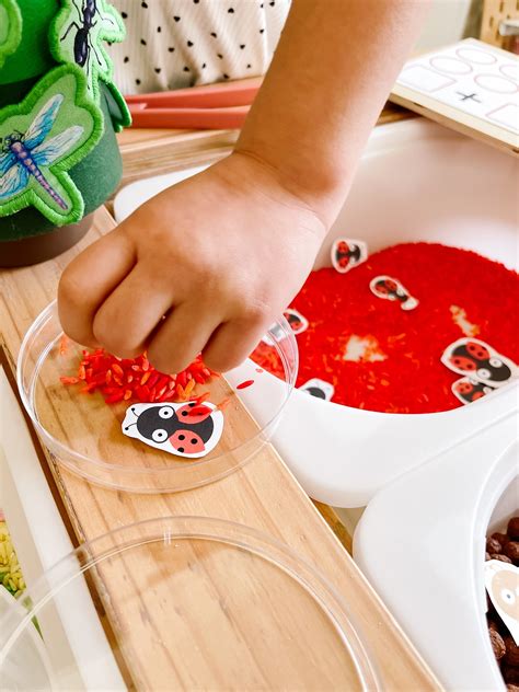 Goodnight Fox - Exploring the Amazing World of Bugs: An Exciting Bug and Insect Themed Sensory