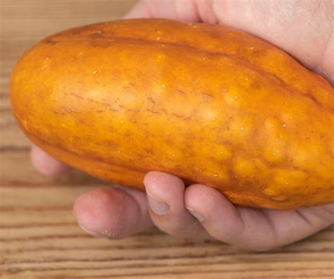 Why are my cucumbers turning yellow? And how to fix them | Homes and