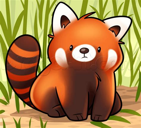 How to Draw a Red Panda, Step by Step, forest animals, Animals, FREE ...