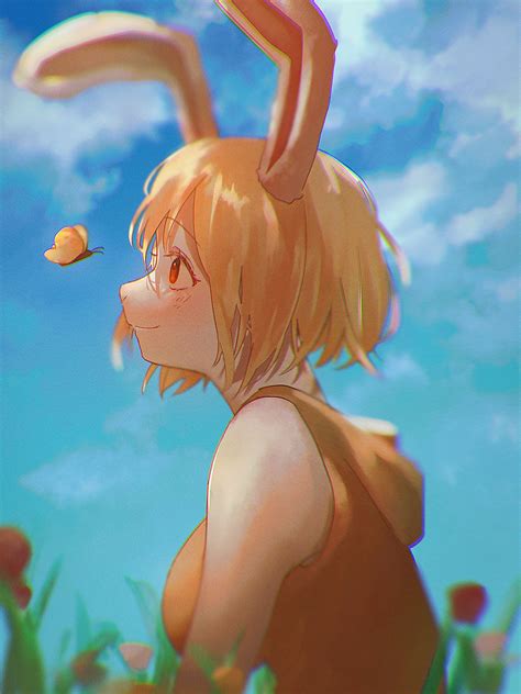 Carrot One Piece Wallpapers - Top Free Carrot One Piece Backgrounds