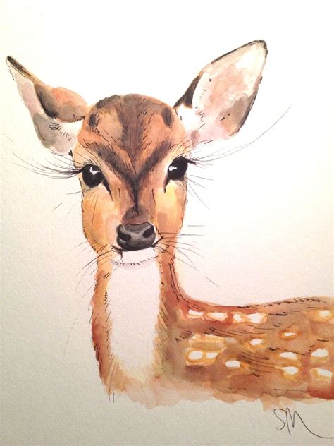 Realistic Pencil Drawing Of A Deer