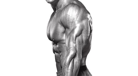 ultimate triceps workout  advanced lifters muscle fitness