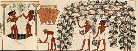 Wine-making was not invented by the Romans, but they perfected it so ...