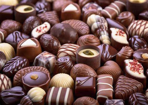 manis hingga pahit mengungkap keunikan cita rasa coklat  berba