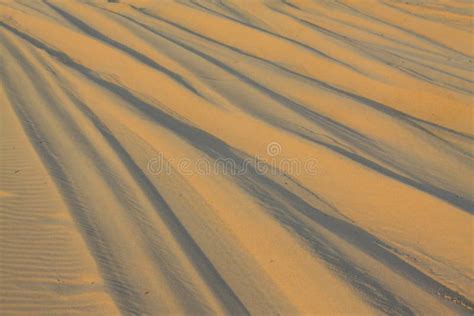 Rut on the beach stock image. Image of sand, rutting - 30548145