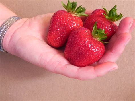 Vancouver - Missing a step on a ladder, straining to reach a too-tall