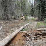 Stoney Creek Trail, California - 39 Reviews, Map | AllTrails