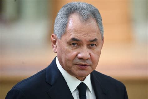 Шойгу объяснил, для чего проводится частичная мобилизация › Статьи ...