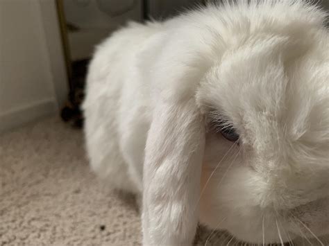 His anger grows as he finds out the container did not have any snacks