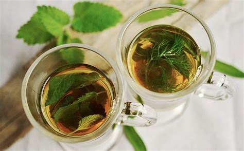 Guyabano Leaves Tea: Health Benefits for Women & Side Effects