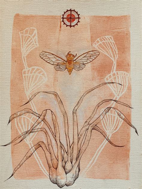 "ISOETES MELANOSPORA/BLACK-SPORED QUILLWORT :: TRANSMUTE": This