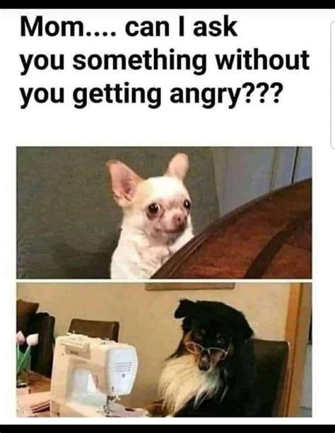 meme  freedomjet memedroid