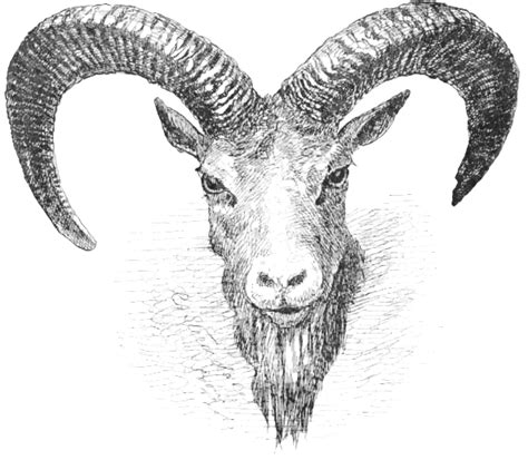ram clipart  page  clip art  wikiclipart