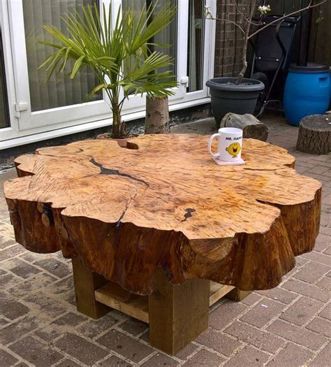 5 Creative Uses For Coffee Table Trees - Coffee Table Decor