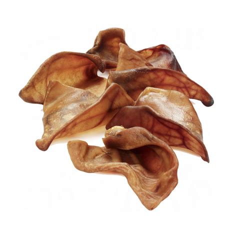 pig ears pet palace dublin petshop