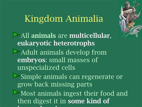 PPT - KINGDOM ANIMALIA General Characteristics of Animals PowerPoint ...