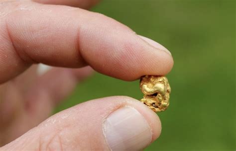 Detecting Gold & Silver Tips – South Eastern Ontario Metal Detecting Club