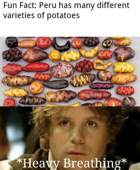 potatoes on Tumblr