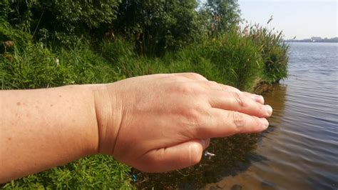 встреча с КРОКОДИЛОМ в воде .в реке Воронеж - YouTube