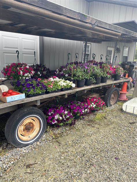 Grandpas Live Bait | Dillsboro IN