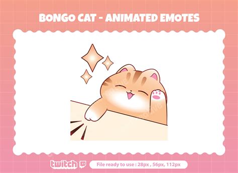 Bongo Cat Animated Emotes for Twitch Bongo Cat Emote - Etsy Norway