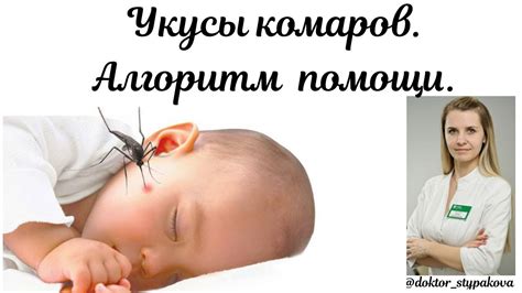 Укусы комаров. Средства от зуда и отеки для детей.Алгоритм помощи при ...
