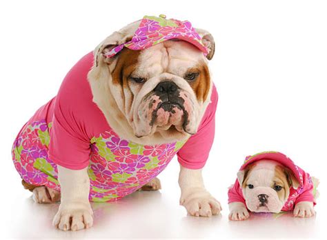 Best Ugly Mom Stock Photos, Pictures & Royalty-Free Images - iStock