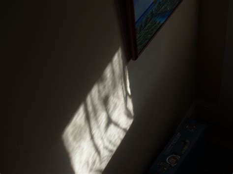 shadow  reflection lfinsphotography