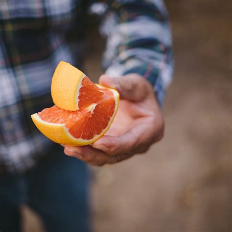 California Citrus Mutual’s Citrus Showcase Returns to Visalia on March