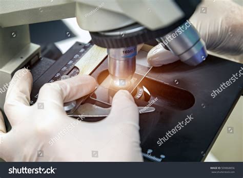 microscope inspection laboratory stock photo  shutterstock