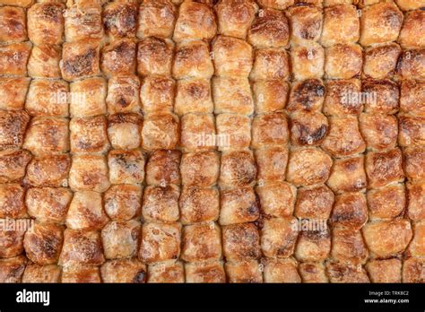 A piece of Bosnian style burek. It is a pastry filled with seasoned ...