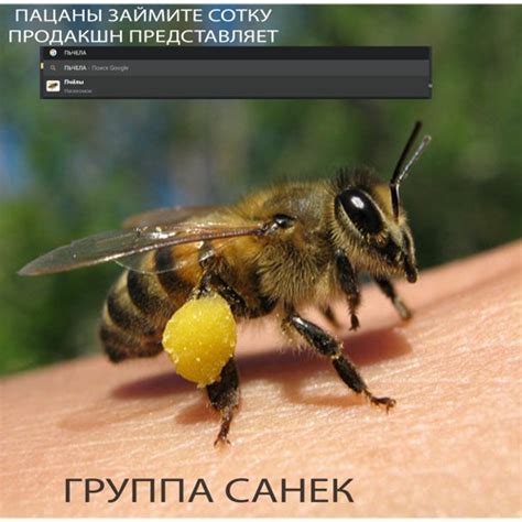 Stream САНЁК | Listen to виктор пчелкин - EP playlist online for free ...