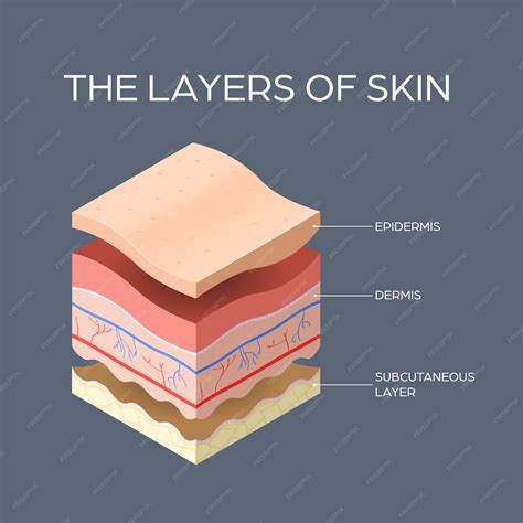 Skin Layers