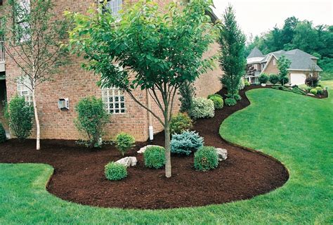 10 Stylish Ideas For Landscaping Around Trees 2024