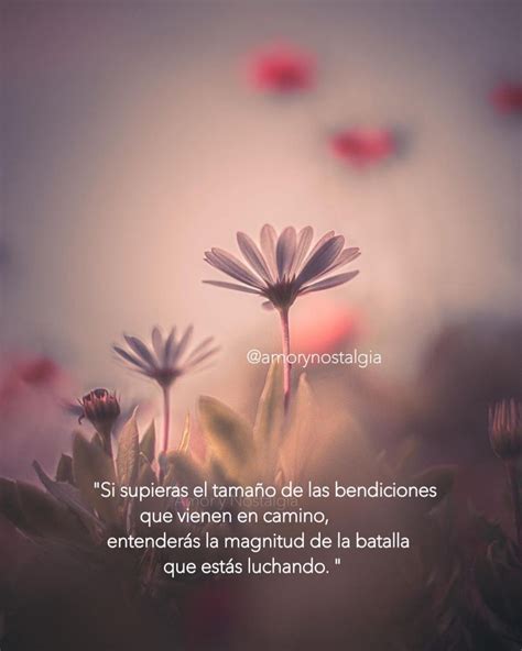 Que Podemos Hacer Si Supieras Muchas Cosas De Humanidades 3