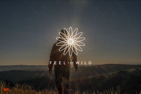 FEEL THE WILD – Daniel Fox – FEEL THE WILD