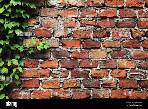 bricks wall