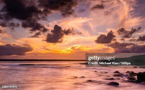 25 Scape (Botany) Stock Photos, High-Res Pictures, and Images - Getty ...