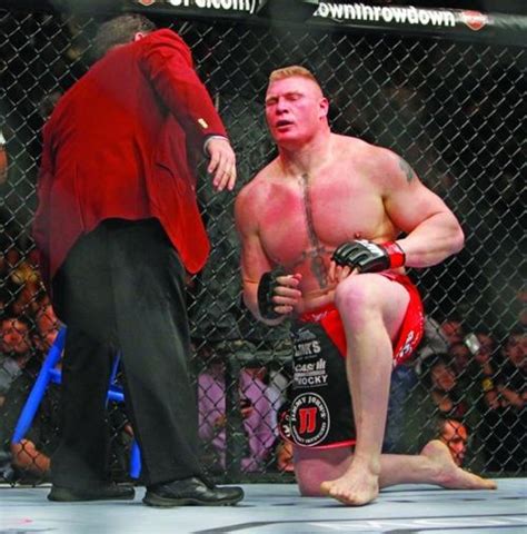 Brock Lesnar, Alistair Overeem | | bismarcktribune.com