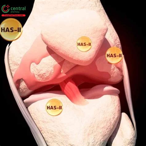 ii hoat chat  tac dung dieu tri cac benh lien quan xuong khop