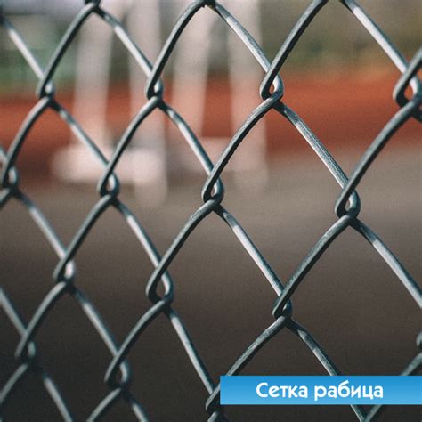 Сетка рабица 20х20х2 мм 1,5х10 м оцинкованная купить в Челябинске
