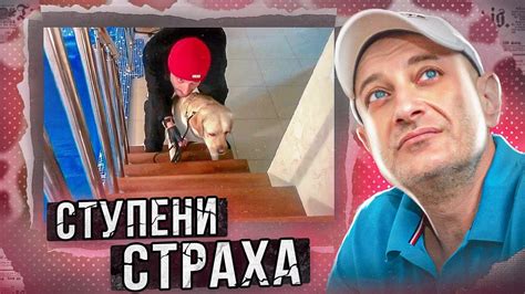 СТУПЕНИ СТРАХА (Лабрадор Ральф) - YouTube