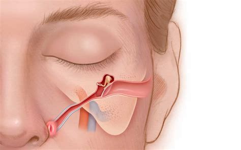 how to open up eustachian tube