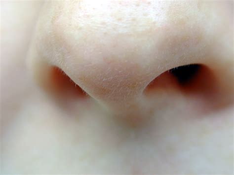 Image*After : photos : nose nostrils hairs bogey skin